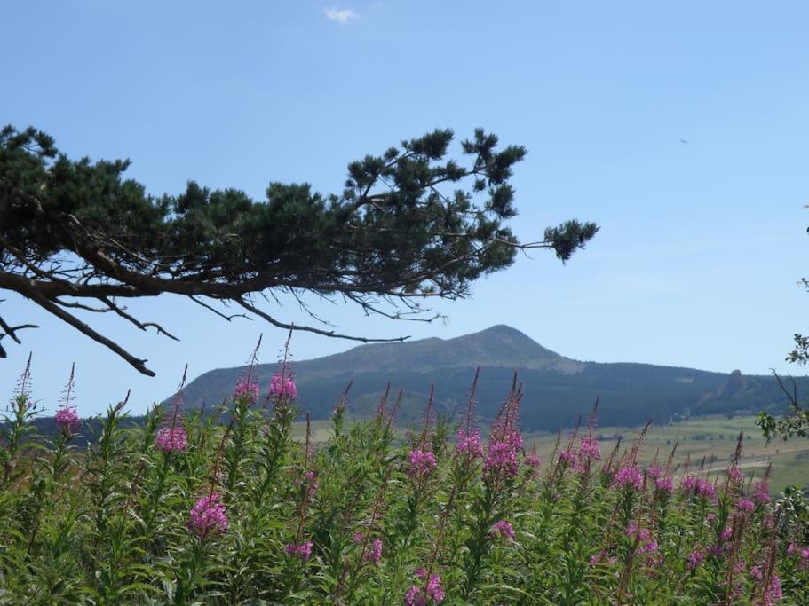 Petite Maison Au Calme Avec Vue Magnifique ! Holiday home *